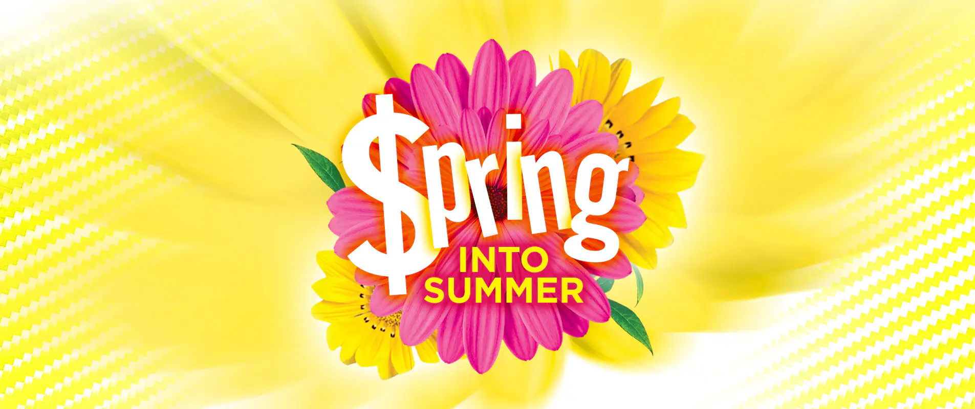 Spring Into Summer